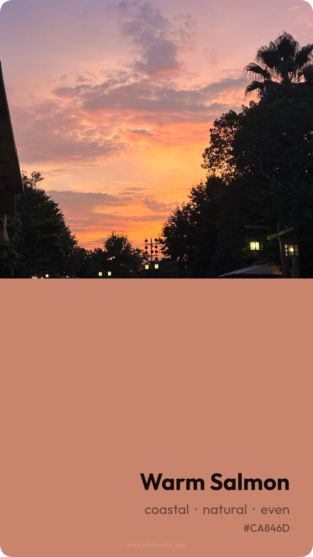PhotoColor gallery card 11